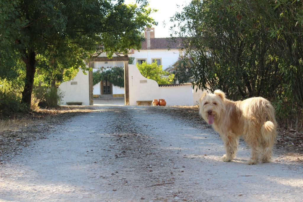 טומאר Quinta Do Valle מראה חיצוני תמונה